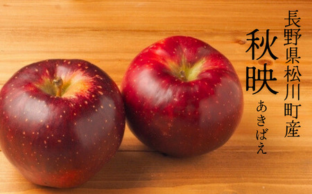 KR25-25A りんご 秋映 約3kg（5～10玉） 贈答 / 2025年10月上旬頃～配送予定 // 南信州 長野県 松川町産 ギフト りんご リンゴ 林檎 秋映 3kg 農家直送 農家支援 贈答 果物 フルーツ りんご三兄弟