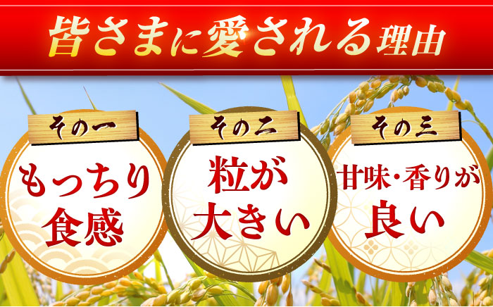 【令和7年産】【全3回定期便】さがびより 計30kg（5kg✕2袋）3回定期便 吉野ヶ里町/増田米穀 [FBM006]