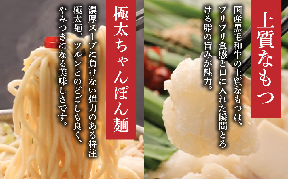 【定期便3回】もつ鍋味噌味（4～6人前）とかば田の辛子明太子 コラボセット『もつ鍋一藤×かば田』【SC016】