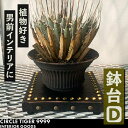 【ふるさと納税】1点モノ 鉢台 D《豊前市》【CIRCLE TIGER 9999】インテリア 植物 グリーン 室内 観葉植物[VCS004] 46000 46000円