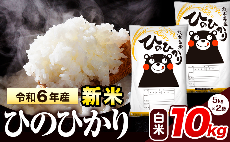 令和6年産 新米 早期先行予約受付中 ひのひかり 白米 10kg 《11月‐12月より出荷予定》 熊本県産 白米 精米 氷川町 ひの 送料無料 ヒノヒカリ コメ 便利 ブランド米 お米 おこめ 熊本 SDGs