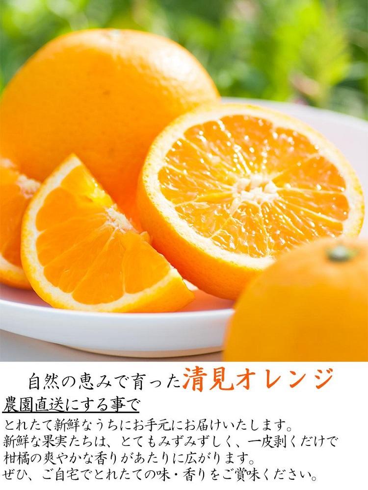 清見オレンジ 約5kg 大小混合 《ご家庭用》 ちょっと訳あり 和歌山県産 農園直送 まごころ産直みかん 【北海道・沖縄県・一部離島 配送不可】 ［Mg65］