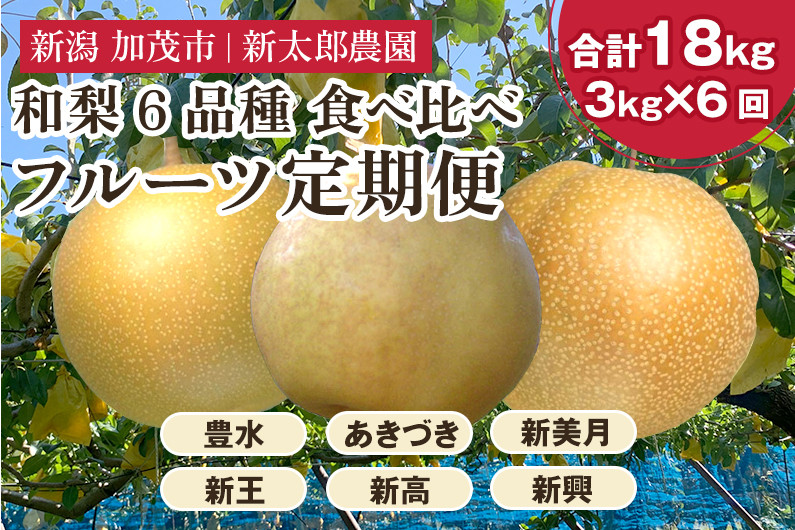 
                  【2026年先行予約】旬の和梨 年6回定期便 和梨6品種食べ比べ （豊水・あきづき・新美月・新王・新高・新興） 各3kg 合計18kg《9月上旬から順次発送》 旬の和梨をお届け 頒布会 限定品 フルーツ定期便 加茂市 新太郎農園
                