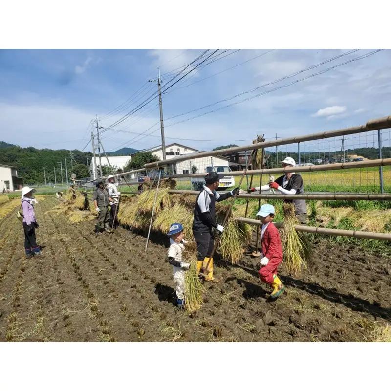 2026年産 京丹後産稲作発祥の地コシヒカリ特別栽培米 月の輪田米 玄米5kg（天日干し） ふるさと納税 米 玄米 お米 ご飯 ごはん コシヒカリ 京丹後産 峰山 農家応援 生産者応援 送料無料