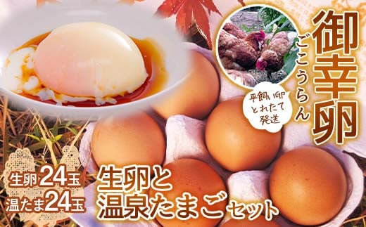 平飼い卵 とれたて発送「御幸卵」の生卵と温泉たまごセット（生卵24玉、温たま24玉） 伊達市 福島県 国産 養鶏場直送 卵 たまご 玉子 生卵 鶏卵 温泉たまご   ゆで卵 たまご焼き 目玉焼き F20C-760