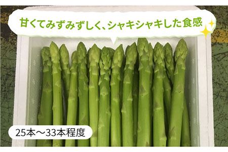 先行予約！受付は3/10まで！【26年3月中順次発送】アスパラガス 春芽 1kg（〇Lサイズ）吉野ケ里町/JAさが グリーンアスパラ 旬 新鮮 野菜 冷蔵  生野菜 [FBE017]