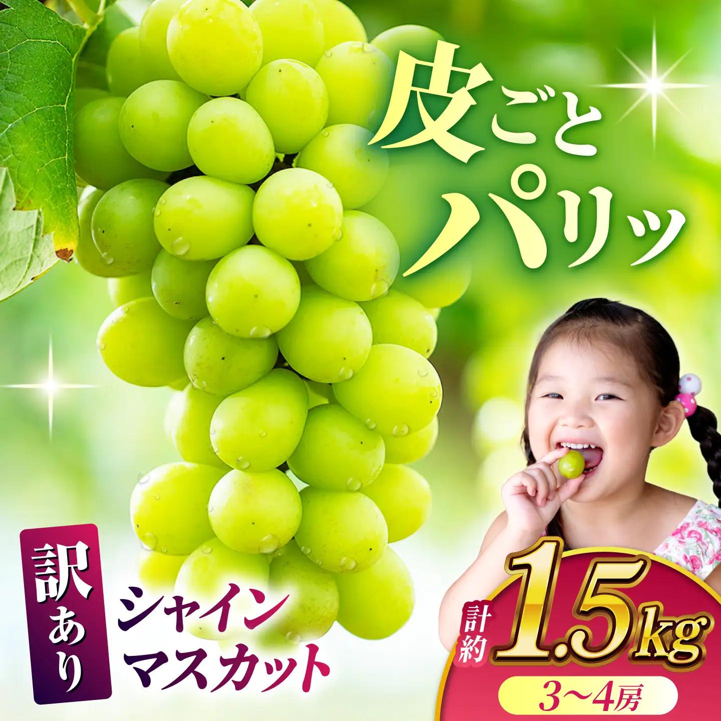 【先行予約】【訳あり】 シャインマスカット 約1.5kg(3～4房)【合同会社 社方園】[ZBZ030]