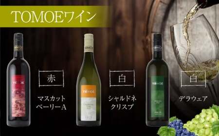 霧里ワイン＆TOMOEワイン おすすめ６本セット ワイン 受賞 飲み比べ ワインセット ギフト 三次市 / 広島三次ワイナリー[APAZ036]