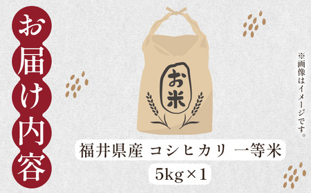 コシヒカリ 5kg  [101-a001]