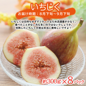 SE0208　【3回定期便】農家直送 旬のフルーツ定期便2024 (いちご、庄内メロン、いちじく)