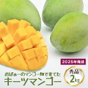 【ふるさと納税】【2025年発送】おばぁーのマンゴー畑で育てたキーツマンゴー2kg(秀品)