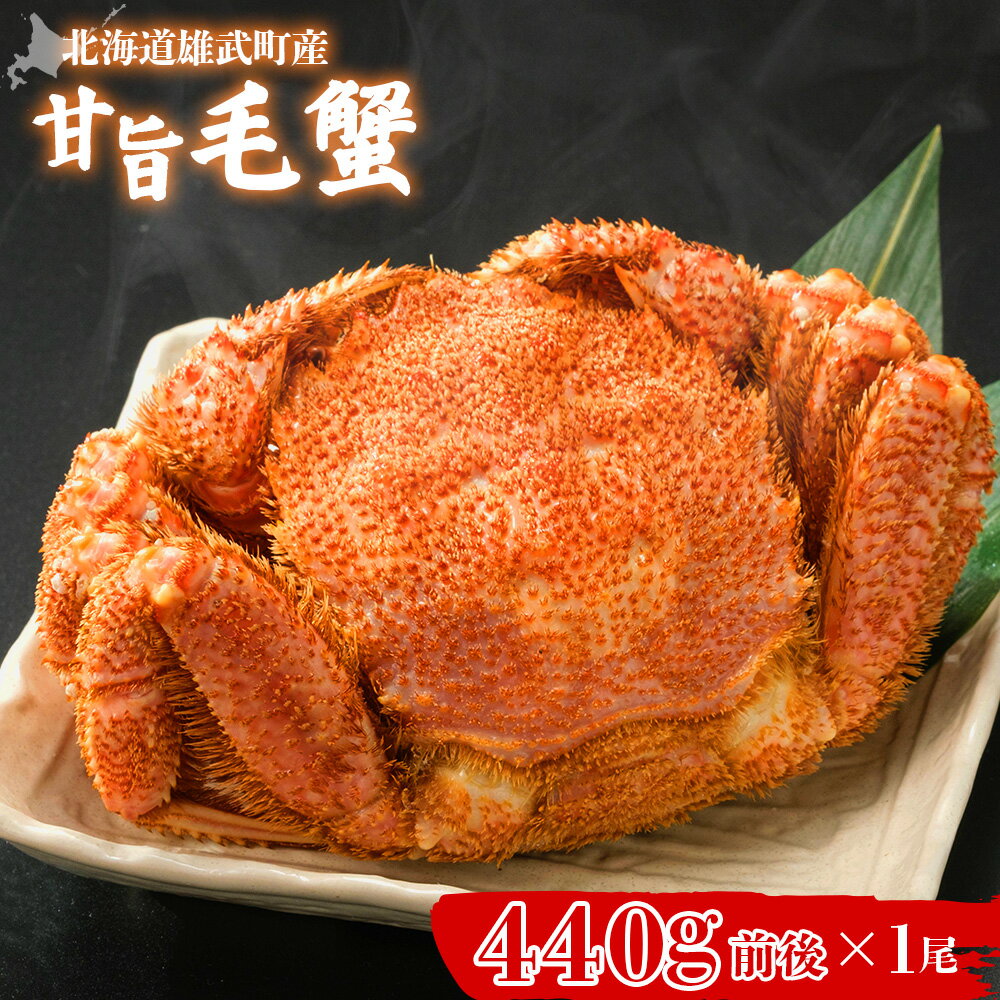 【ふるさと納税】【北海道雄武町産】やわらか殻の甘旨毛蟹 440g前後×1尾 | 毛ガニ カニ かに 蟹 殻付き 浜茹で ジューシー 海産物 海鮮 冷蔵 鮮度直送 柔らかい 食べやすい 蟹料理 ギフト おすすめ 贈答用 鮮魚 食材 海の幸 お取り寄せ 北海道 雄武町 雄武【07185】