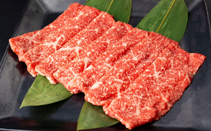 【全6回定期便】【A4〜A5ランク】長崎和牛 スライスセット 1.6kg（モモ600g・肩ロース600g・リブロース400g）《壱岐市》【シュシュ】 牛 牛肉 和牛 国産 長崎和牛 しゃぶしゃぶ すき