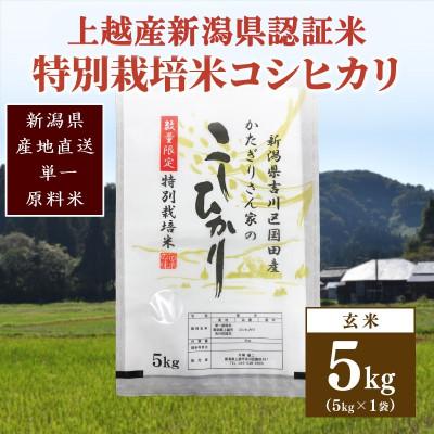 ふるさと納税 上越市 ★数量限定★令和7年産・新潟県上越市吉川区国田産・新潟県認証米/特別栽培米コシヒカリ玄米5kg