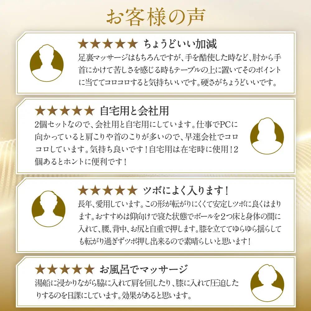 【ファイテン】メタックスボール(2個入り)｜京都 ボール 人気ブランド