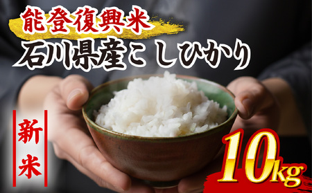 新米 令和7年産 石川県産 こしひかり 10kg 米 【 米 】 