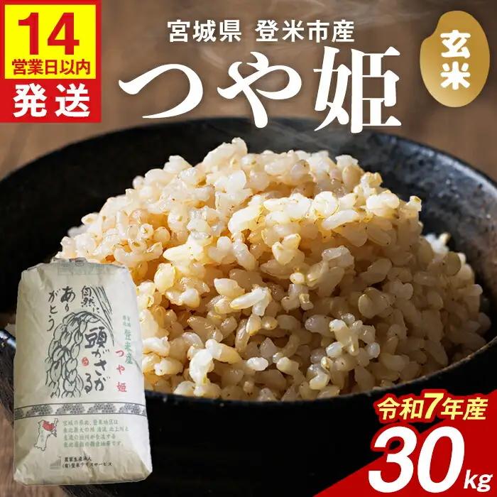 ≪令和8年産≫ つや姫 玄米 30kg 登米市産 お米 おこめ 米 コメ ご飯 ごはん おにぎり お弁当 【登米ライスサービス株式会社】tm143
