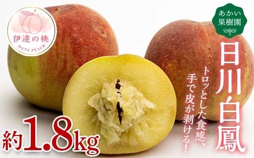 【2026年出荷分先行予約】福島県産 日川白鳳 約1.8kg (6～12玉) あかい果樹園 伊達の桃 桃 フルーツ 果物 もも モモ momo F20C-447