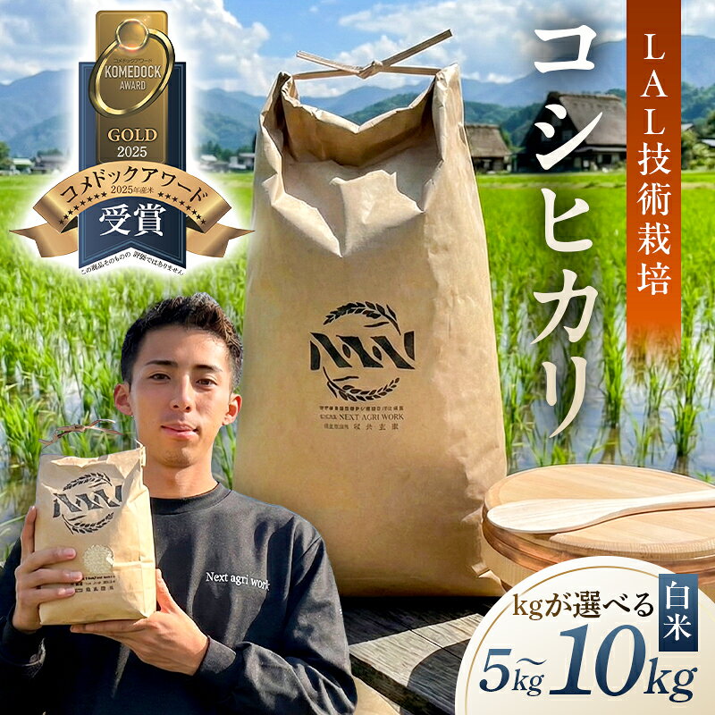 【ふるさと納税】 【kg数が選べる】【LAL技術栽培】白米 栃木県 那須塩原市 米 精米 コシヒカリ 国産 お米 ごはん ブランド米 国産 おにぎり お取り寄せ 送料無料