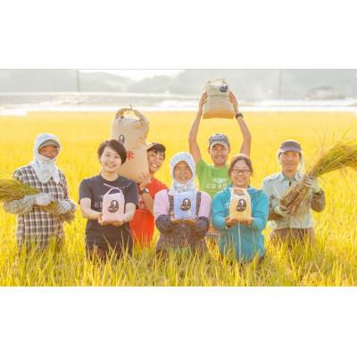 ふるさと納税 岡山市 【石原果樹園】備前乙女米　玄米2Kg×2袋(BOB02-2) |  | 03