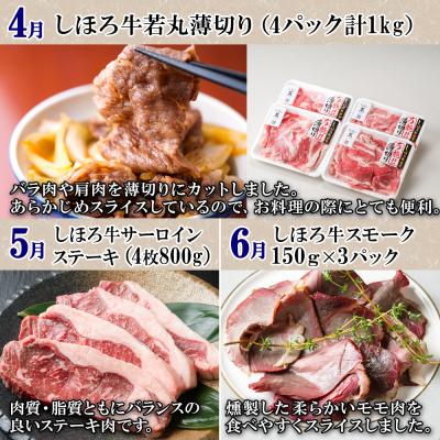 ふるさと納税 士幌町 定期便 北海道 牛肉づくし 全11回 ステーキ ハンバーグ 頒布会【X36】 |  | 02
