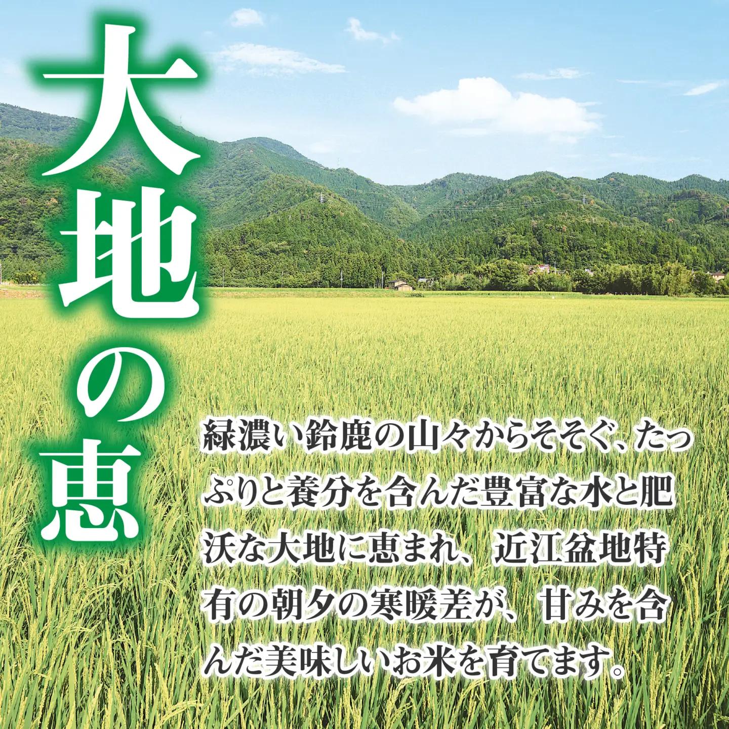 【先行予約】【令和8年産新米早期予約 毎月定期配送・計12回】 BG無洗米 こしひかり 10kg×12回 [R-00403] / こしひかり