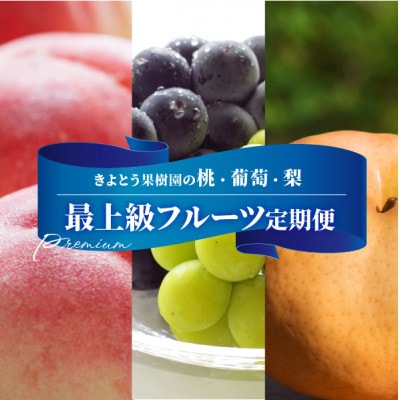 【発送月固定定期便】桃、ぶどう、梨の最上級品を旬にお届けする3回便!(岡山県産)全3回【配送不可地域：離島・北海道・沖縄県】
