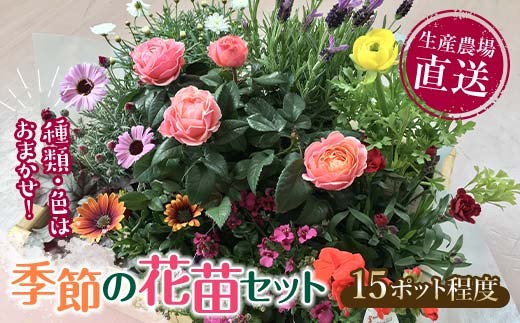 
                  【母の日ギフト用あり】生産農場直送！季節の花苗セット 10～15ポット 母の日 花 花苗 苗 セット 寄せ植え 花壇 ガーデニング F6L-415var
                
