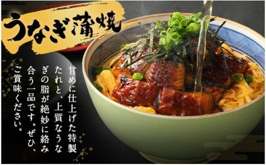 【丑の日／配達日指定可能】九州産 うなぎ 蒲焼 大 4尾 (1尾あたり160～189g)