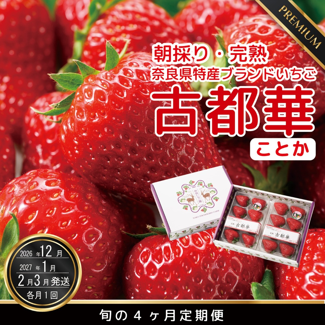 【12月27日決済完了分まで年内発送】定期便 先行予約 【12・1・2・3月発送4ヶ月定期便】奈良県特産 高級ブランドいちご「古都華」旬の４ヶ月定期便 // いちご イチゴ 古都華 フルーツ 果物 旬 限定  ブランド 定期便 贈答用 ギフト 化粧箱※12月26日までに決済が完了された方は、12月～3月の4回、12月27日以降に決済が完了された方は、1月～3月の期間内で計4回発送となります。