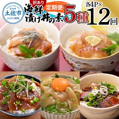 ふるさと納税 土佐市 【毎月定期便】訳あり土佐の海鮮漬け丼(5種×各4袋)セット全12回