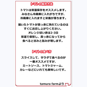 【2027年4月～発送】 トマト 2kg 大玉 秀品 Mサイズ トマト IM