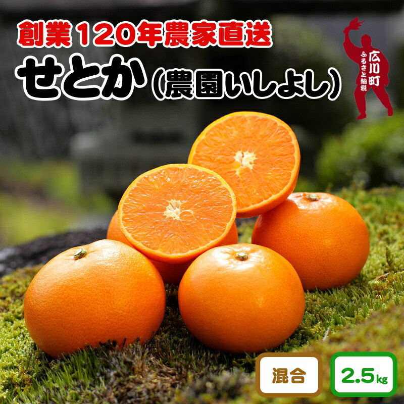 【ふるさと納税】 せとか 2.5kg サイズ混合 お試し用 10000円 【 創業120年 農家直送 】 ※3月中旬から4月上旬に順次発送予定 / 春 みかん 柑橘 くだもの 果物 果実 フルーツ 王様 晩柑 プレミアム 最高峰 //dekopon
