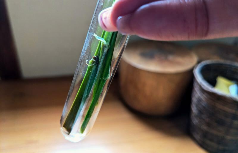 木のフラワーベース「しるし」（一輪挿し） 099H1973_イメージ3