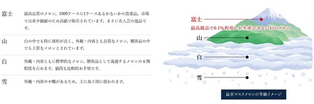 メロン 温室 アローマ 果物 ハウス 白等級 1玉 GABA (a16-148)