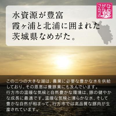 ふるさと納税 行方市 美明豚「びめいとん」のジューシー餃子 30個×2袋 |  | 03