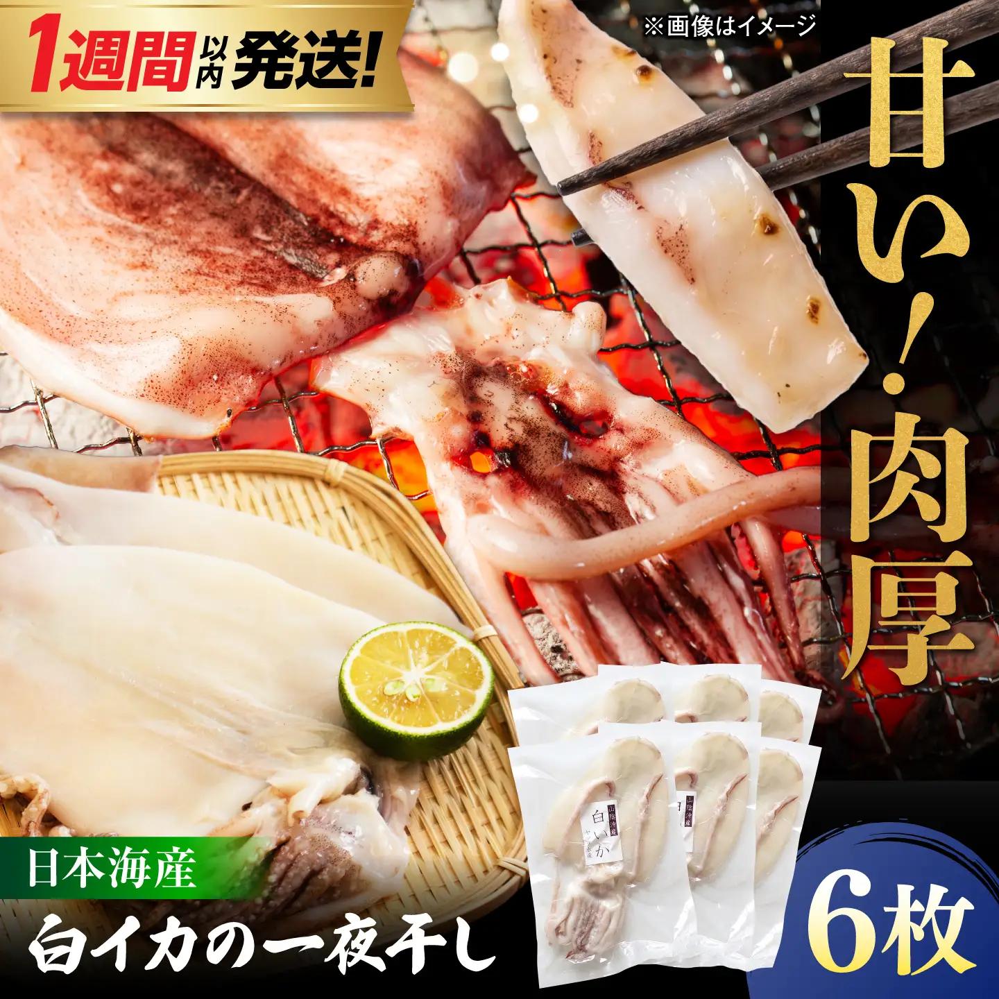 【1週間以内発送】イカ 白イカ 一夜干し 6枚セット [ALDB027]