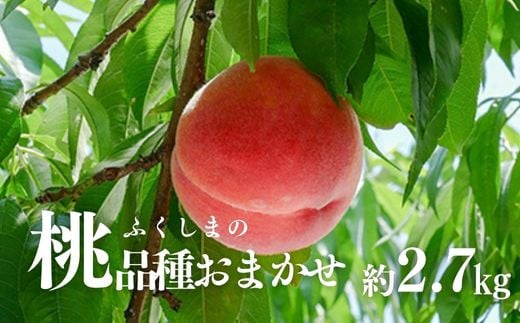 No.2870 もも（品種おまかせ）約2.7kg【2025年発送　先行予約】