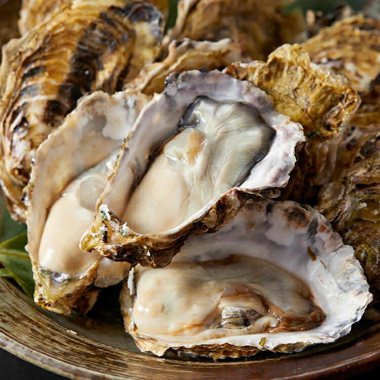 【ふるさと納税】牡蠣 生食用 浦村 カキ 15個入り セット《 オイスターナイフ ・ 軍手付き 》 シェルカキ （ 殻付き牡蠣 ） 丸善水産 牡蠣 ギフト お歳暮 I-55