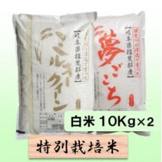 【令和6年産】特別栽培米 20kg【白米】(ミルキークイーン/夢ごこち)