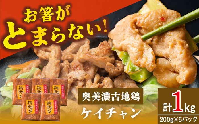 
            地鶏を使った岐阜県郷土料理「ケイチャン」セット 10人前（200g×5P） / とりにく 鳥肉 肉 お肉 鶏 鶏肉 地鶏 郷土料理 小分け 送料無料 お取り寄せ ギフト 贈答 プレゼント / 恵那市 / 中部食産 [AUBW003]
          