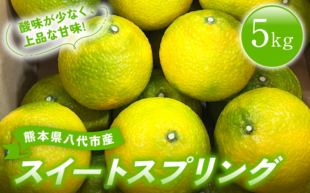 【先行予約】 熊本県八代市産 スイートスプリング 約5kg 柑橘 フルーツ 果物 【2025年12月上旬より順次発送】