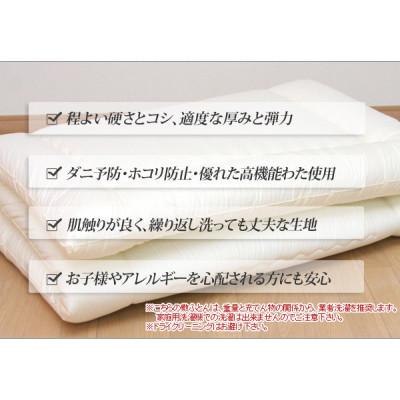 ふるさと納税 米原市 アラエマックス　ウォシュロン　洗える敷布団　シングル　硬質・中綿増量タイプ(araeru-0019) |  | 03