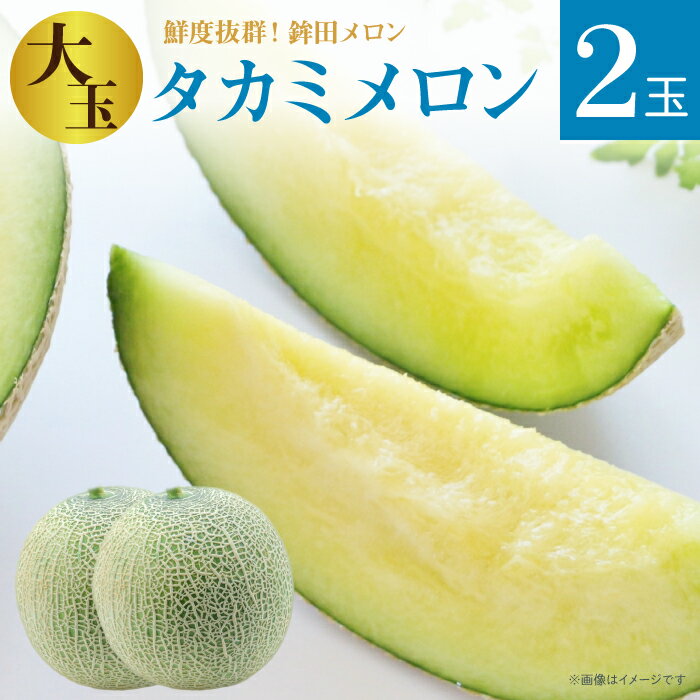 【ふるさと納税】メロン 生産量日本一 めろん 大玉 タカミメロン 緑肉 2玉 5kg以上 ギフト 鉾田 果物 人気 おすすめ 贈答 茨城 お返し 先行予約 スイーツ 送料無料 味 茨城県 還元率 青肉 鉾田市 デザート くだもの お取り寄せ 甘い ジューシー 期間限定 みなみ果樹園芸