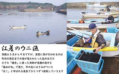 【令和7年発送予約】北海道 江差前浜産 生うに たっぷり 1kg（100g×10パック）【無添加・みょうばん不使用】江差産天然キタムラサキウニ　日本海熊石産海洋深層水　塩水ウニ　素材を生かした自然の味