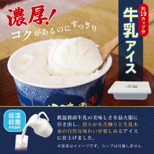 寄付額を見直しました！【大容量】丹波産牛乳アイスクリーム（2L） アイスクリーム