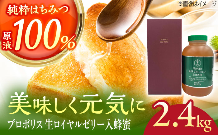 
            コハマのハチミツ プロポリス 生ローヤルゼリー入蜂蜜 2.4kg×1本 蜂蜜 はちみつ ハチミツ 国産 ギフト 沖縄市 / 農業生産法人株式会社小浜養蜂場 [BCAQ008]
          