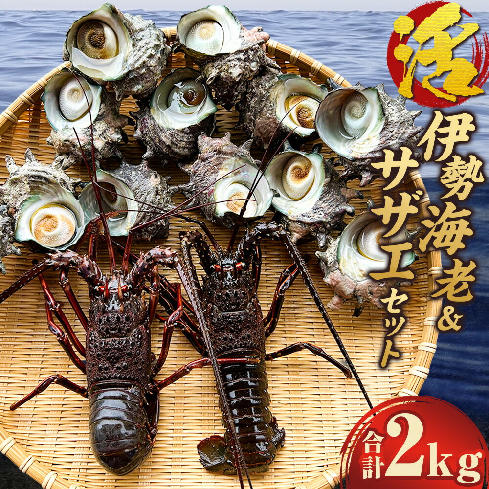 【ふるさと納税】活伊勢海老（イセエビ）500g（1~2尾入り）・活サザエ1.5kg（約15個入り） セット 刺身 ボイル エビ えび 生食 新鮮 貝 魚介類 冷蔵 長崎県 長崎市 送料無料