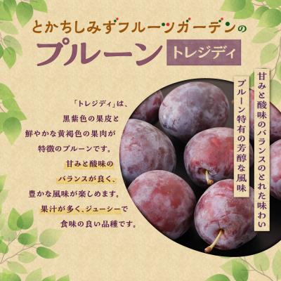 ふるさと納税 清水町 【2026年発送!】とかちしみずの冷凍プルーン2種食べ比べ 1.2kg 北海道産_S009-0020 |  | 01