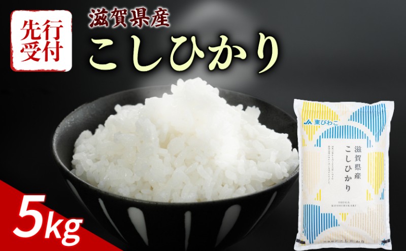 
                  【令和8年産】 先行予約 新米 こしひかり 5kg 令和8年産 米 精米 こめ コメ お米 ご飯 米 コシヒカリ 5キロ 令和8年 令和8年度産 令和八年 令和八年産 滋賀 彦根 【近江米】
                